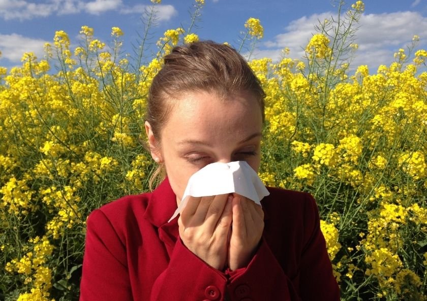 How to prepare when going to the doctor for pollen allergy